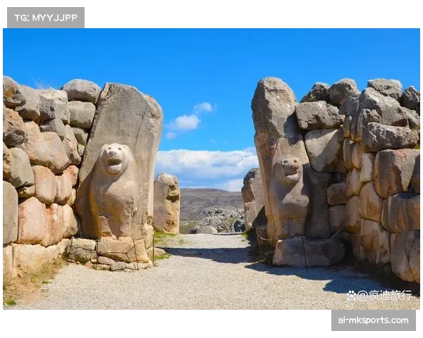 土耳其澳大利亚星月军团回归 居莱尔领衔面临袋鼠军团高空轰炸 土耳其澳大利亚星月军团回归 居莱尔领衔面临袋鼠军团高空轰炸